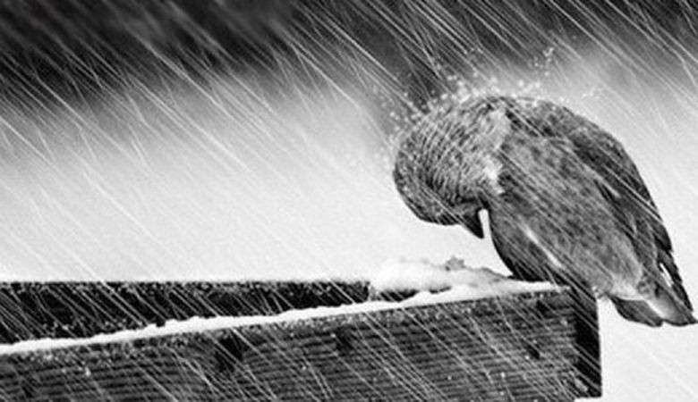 Абуталип Амир: Турмушта болбогон окуя