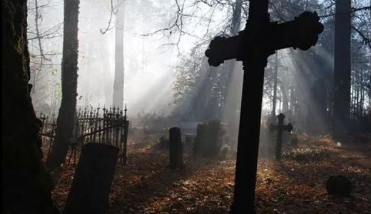 ЖУЛИЯ АЛЬВАРЕС: АРБАКТАР КАЙДА КЕТИШЕТ?