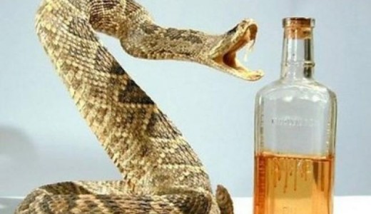 ЖАНЫБЕК АБДРАСАКОВ: ЭРӨӨЛ