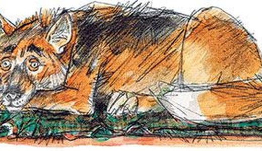 Жытчыл ит (аңгеме, которгон Абийрбек АБЫКАЕВ)
